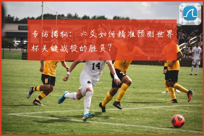 专访揭秘:六爻如何精准预测世界杯关键战役的胜负?