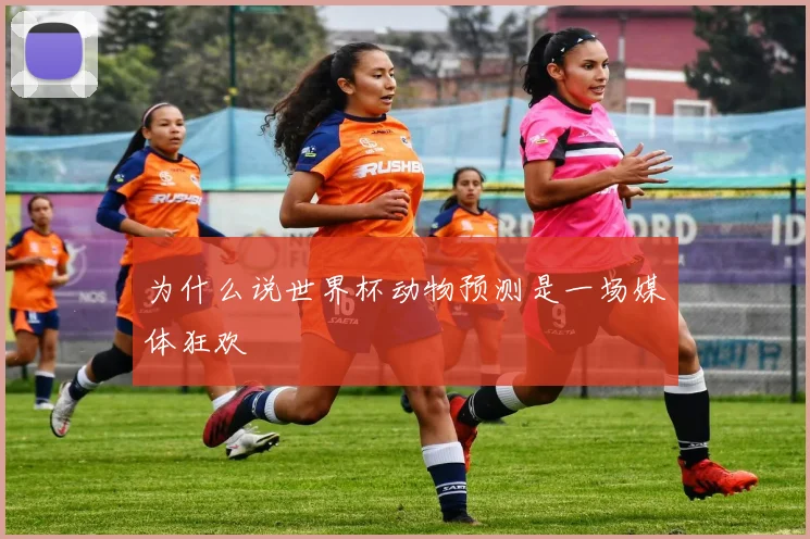为什么说世界杯动物预测是一场媒体狂欢