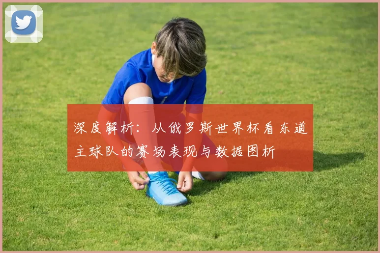 深度解析：从俄罗斯世界杯看东道主球队的赛场表现与数据图析