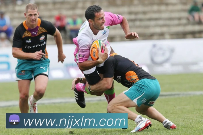 米兰体育官网登陆平台生态图