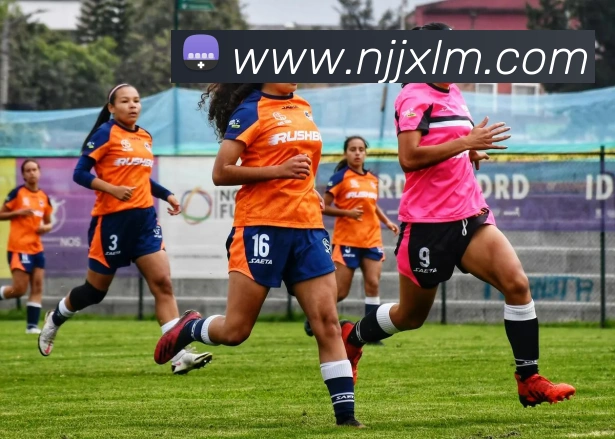 米兰体育官网登陆全站App 米兰体育官网登陆全站App